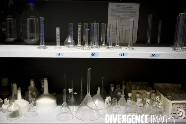 Labo Genome et developpement des plantes