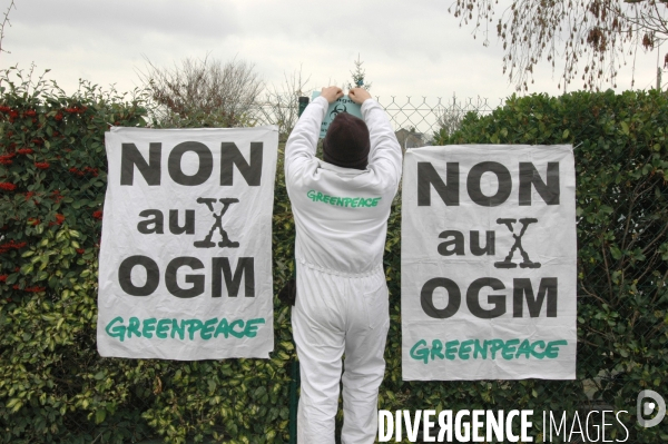 Actions Greenpeace