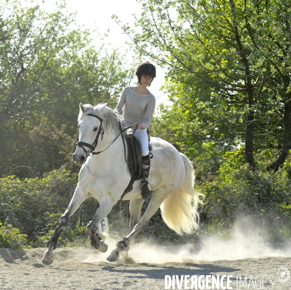 L enfant et les animaux : jeune cavalier à cheval. Children and animals: young horse rider.
