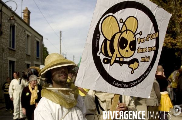 Manifestation contre les OGM à Milly-la-Forêt.