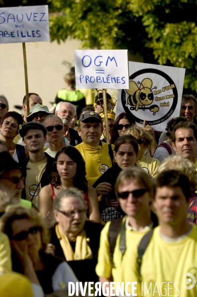 Manifestation contre les OGM à Milly-la-Forêt.