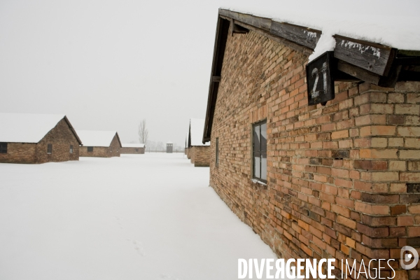 Camp d Auschwitz-Birkenau. Illustration