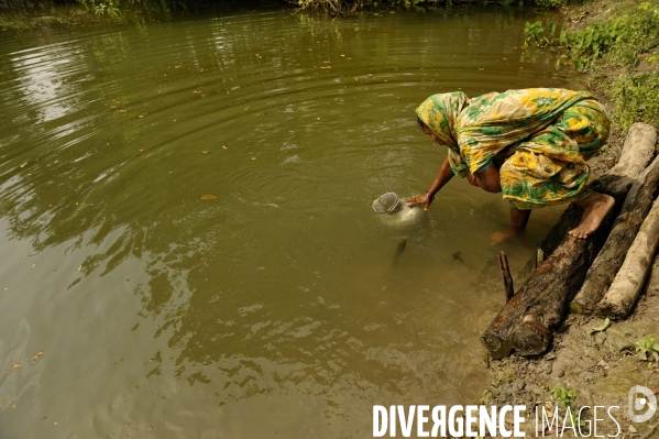 Changement climatique au Bangladesh