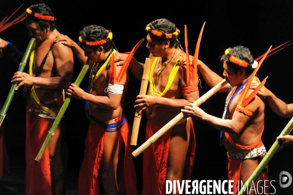 WAYAPI , indiens de Guyane francaise : Musiciens danseurs du Haut OYAPOCK