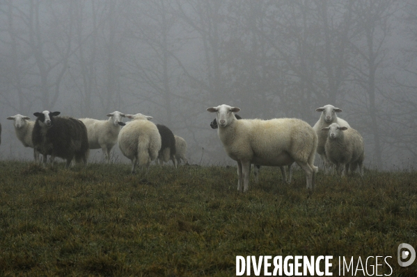 Paysage de campagne en correze.