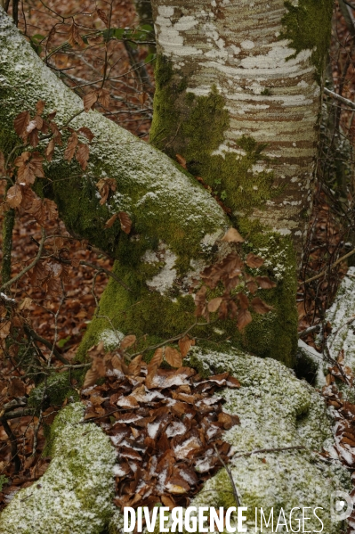 Paysage de campagne en correze.