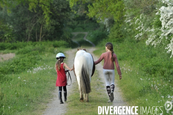 L enfant et les animaux : avec chevaux et poney. Children and animals : with horse and pony.