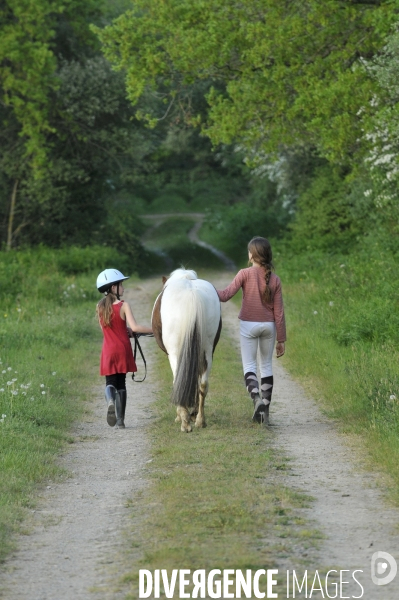 L enfant et les animaux : avec chevaux et poney. Children and animals : with horse and pony.