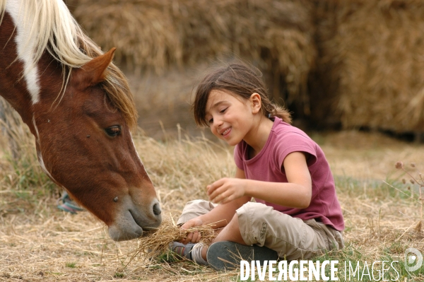 L enfant et les animaux : avec chevaux et poney. Children and animals : with horse and pony.