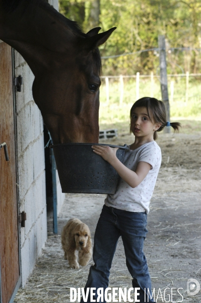L enfant et les animaux : avec chevaux et poney. Children and animals : with horse and pony.