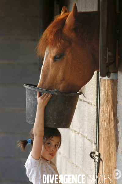 L enfant et les animaux : avec chevaux et poney. Children and animals : with horse and pony.