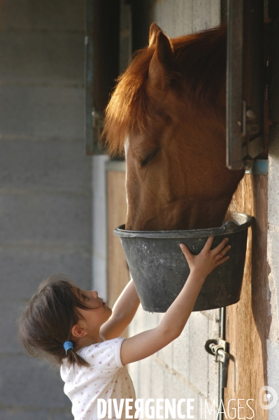 L enfant et les animaux : avec chevaux et poney. Children and animals : with horse and pony.