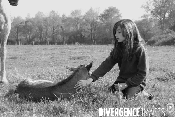 L enfant et les animaux : avec chevaux et poney. Children and animals : with horse and pony.