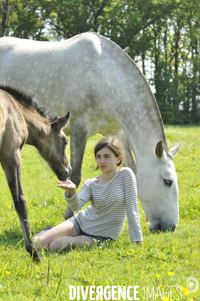 L enfant et les animaux : avec chevaux et poney. Children and animals : with horse and pony.