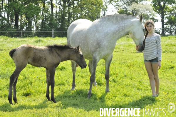 L enfant et les animaux : avec chevaux et poney. Children and animals : with horse and pony.