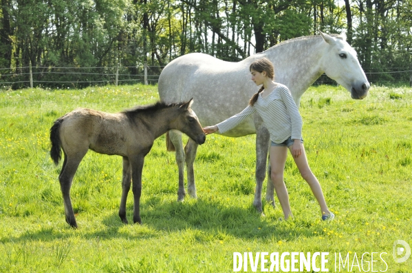 L enfant et les animaux : avec chevaux et poney. Children and animals : with horse and pony.