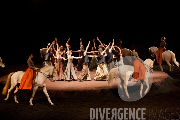 We Were Horses / Carolyn Carlson et Bartabas