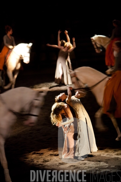 We Were Horses / Carolyn Carlson et Bartabas