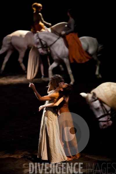 We Were Horses / Carolyn Carlson et Bartabas