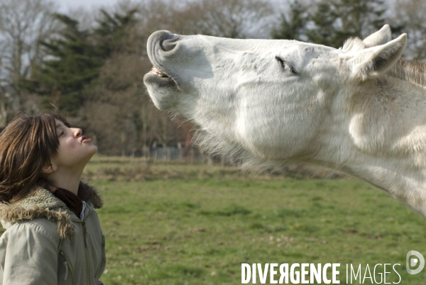 L enfant et les animaux : avec chevaux et poney. Children and animals : with horse and pony.