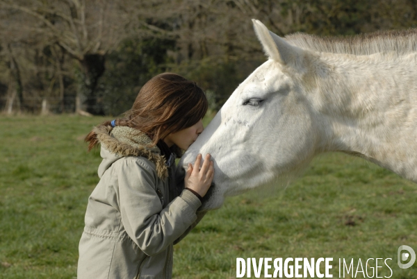 L enfant et les animaux : avec chevaux et poney. Children and animals : with horse and pony.