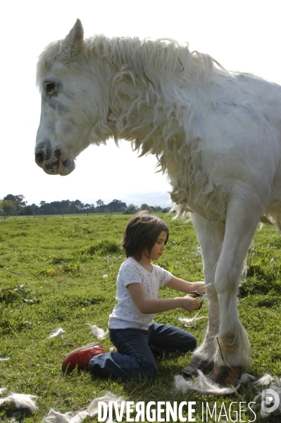 L enfant et les animaux : avec chevaux et poney. Children and animals : with horse and pony.