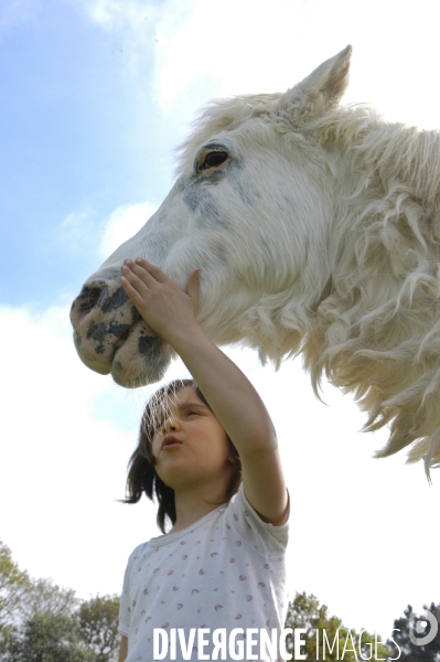 L enfant et les animaux : avec chevaux et poney. Children and animals : with horse and pony.
