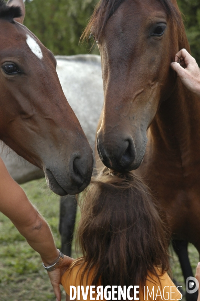 L enfant et les animaux : avec chevaux et poney. Children and animals : with horse and pony.