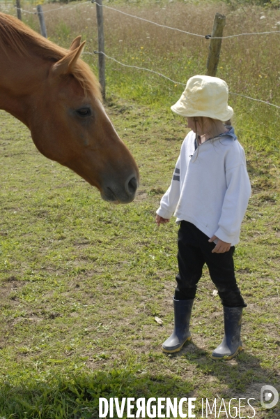 L enfant et les animaux : avec chevaux et poney. Children and animals : with horse and pony.