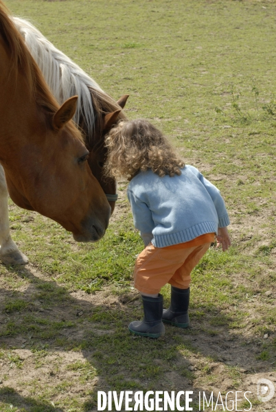 L enfant et les animaux : avec chevaux et poney. Children and animals : with horse and pony.