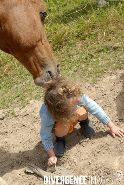 L enfant et les animaux : avec chevaux et poney. Children and animals : with horse and pony.