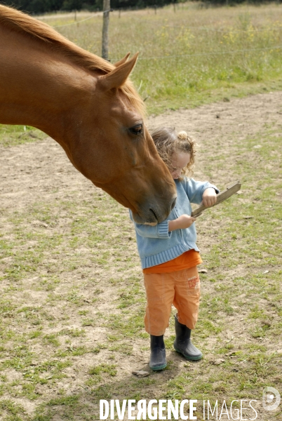 L enfant et les animaux : avec chevaux et poney. Children and animals : with horse and pony.