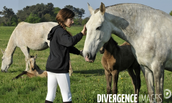 L enfant et les animaux : avec chevaux et poney. Children and animals : with horse and pony.