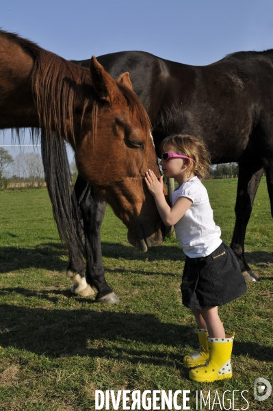 L enfant et les animaux : avec chevaux et poney. Children and animals : with horse and pony.