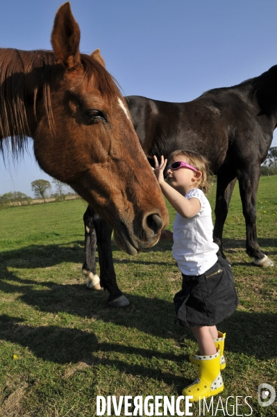 L enfant et les animaux : avec chevaux et poney. Children and animals : with horse and pony.