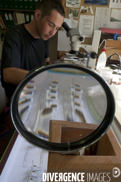 Laboratoire National d Entomologie Forestiere