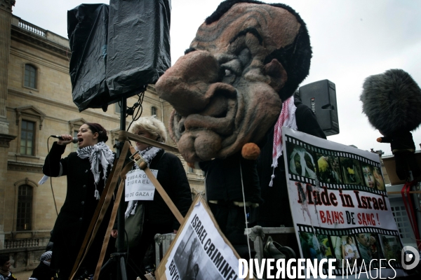 Manifestation Pro Palestinienne Samedi 17 Janvier 2008