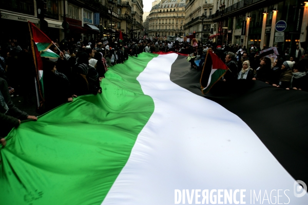 Manifestation Pro Palestinienne Samedi 17 Janvier 2008