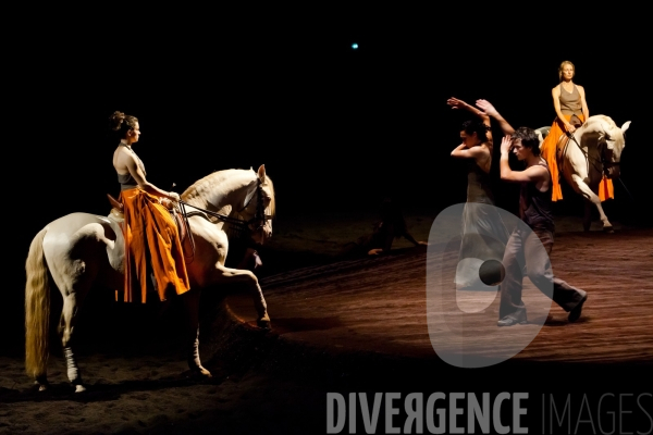 We Were Horses / Carolyn Carlson et Bartabas