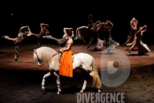 We Were Horses / Carolyn Carlson et Bartabas