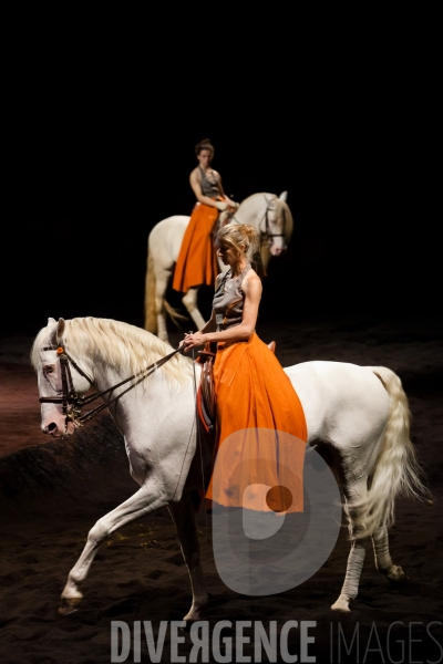 We Were Horses / Carolyn Carlson et Bartabas