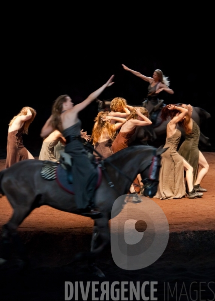 We Were Horses / Carolyn Carlson et Bartabas