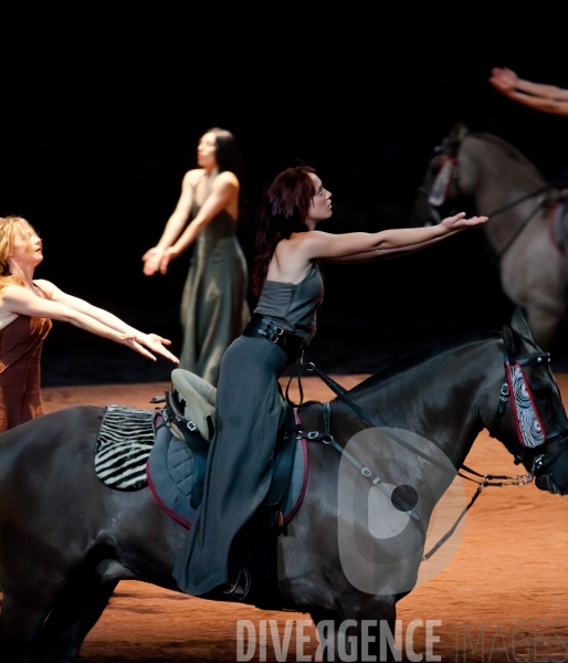 We Were Horses / Carolyn Carlson et Bartabas