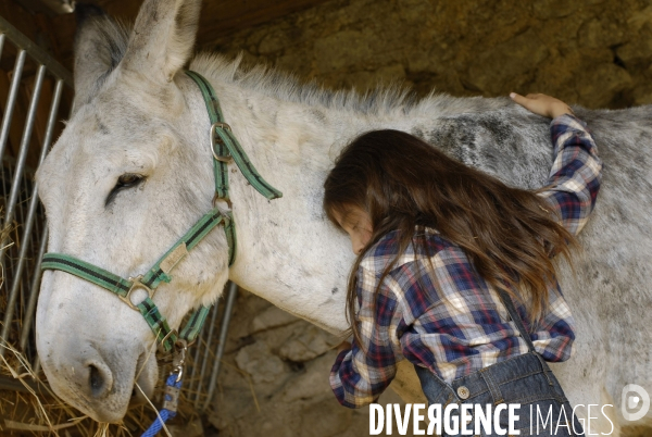 L enfant et les animaux : avec chevaux et poney. Children and animals : with horse and pony.