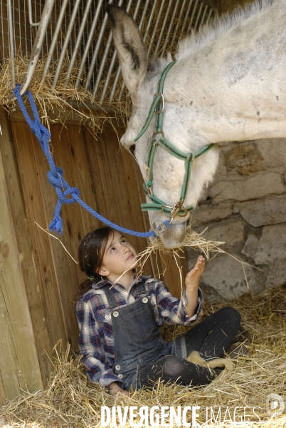 L enfant et les animaux : avec chevaux et poney. Children and animals : with horse and pony.