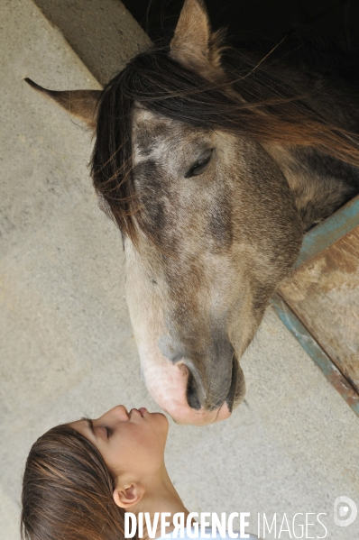 L enfant et les animaux : avec chevaux et poney. Children and animals : with horse and pony.