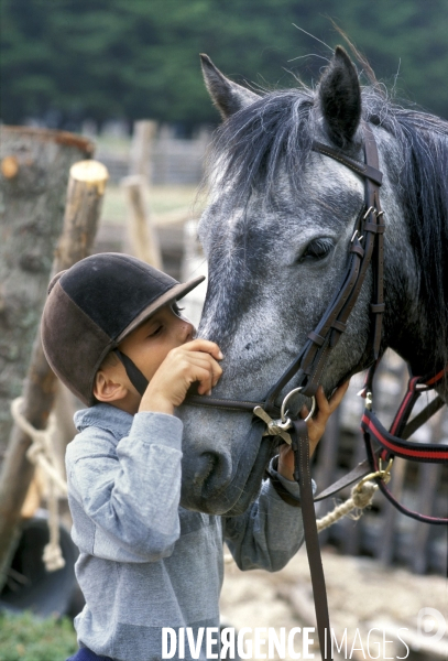 L enfant et les animaux : avec chevaux et poney. Children and animals : with horse and pony.