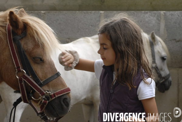 L enfant et les animaux : avec chevaux et poney. Children and animals : with horse and pony.
