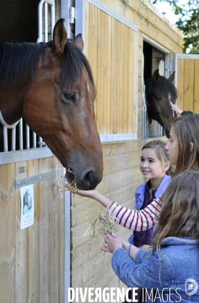L enfant et les animaux : avec chevaux et poney. Children and animals : with horse and pony.