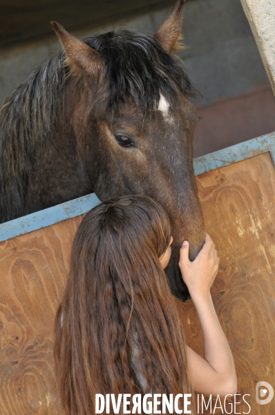 L enfant et les animaux : avec chevaux et poney. Children and animals : with horse and pony.